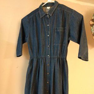 VTG 80s Champagne SouthWest Style Denim Full Snap Front  Dress 3/4 Sleeve USA 16